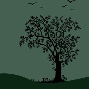 美女老师用丝袜踩我的🐔出精子的照片
