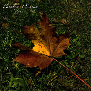 美女老师用丝袜踩我的🐔出精子的照片
